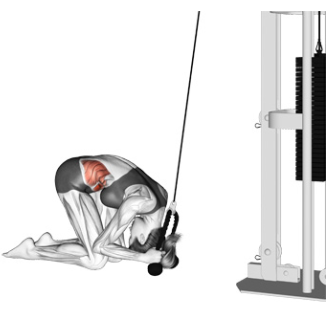 eine Frau führt einen knienden Kabelzugcrunch aus