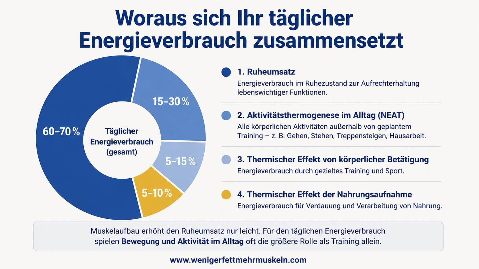 Infografik zum täglichen Energieverbrauch mit Donutdiagramm der vier Komponenten