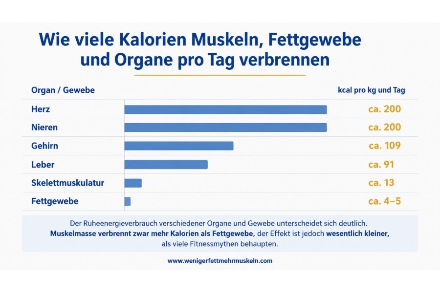 Infographik mit Anzahl Kcal verbrennt werden