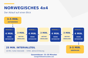 Norwegisches 4×4-Training: vier intensive 4-Minuten-Intervalle mit jeweils 3 Minuten aktiver Erholung dazwischen.)
